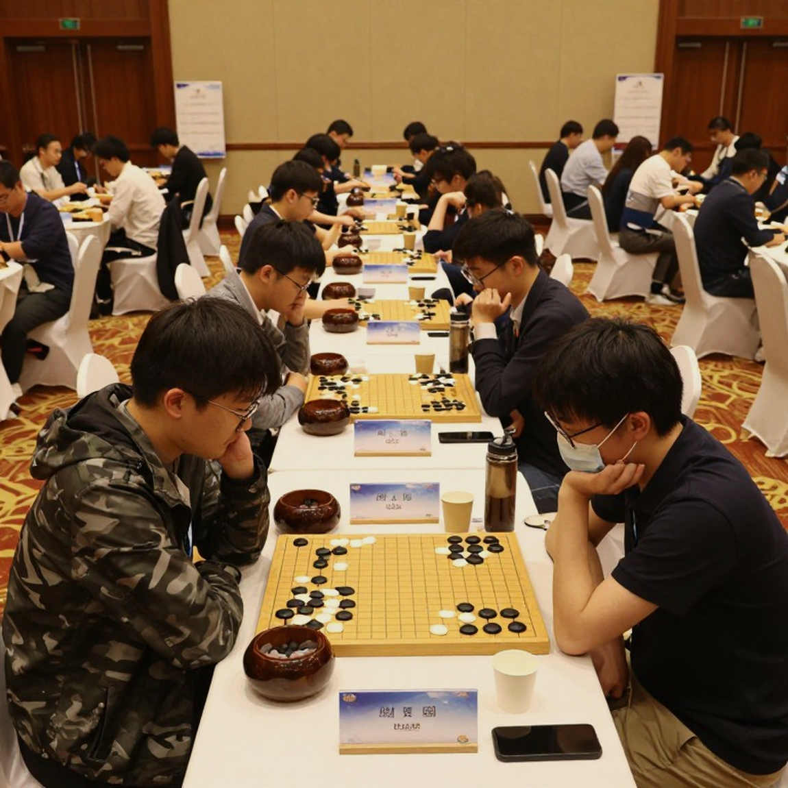 ChessBase tháng 8/2026: Petroff được cập nhật, và dấu hỏi về hai khóa cờ vị trí trong một chu kỳ