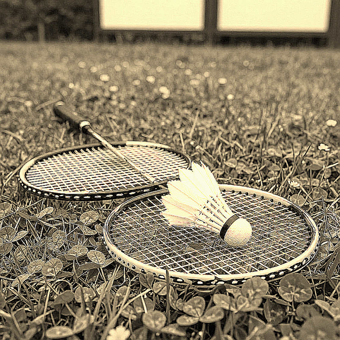 Aidil Sholeh đi vào lịch sử Malaysia tại Vietnam Open 2026