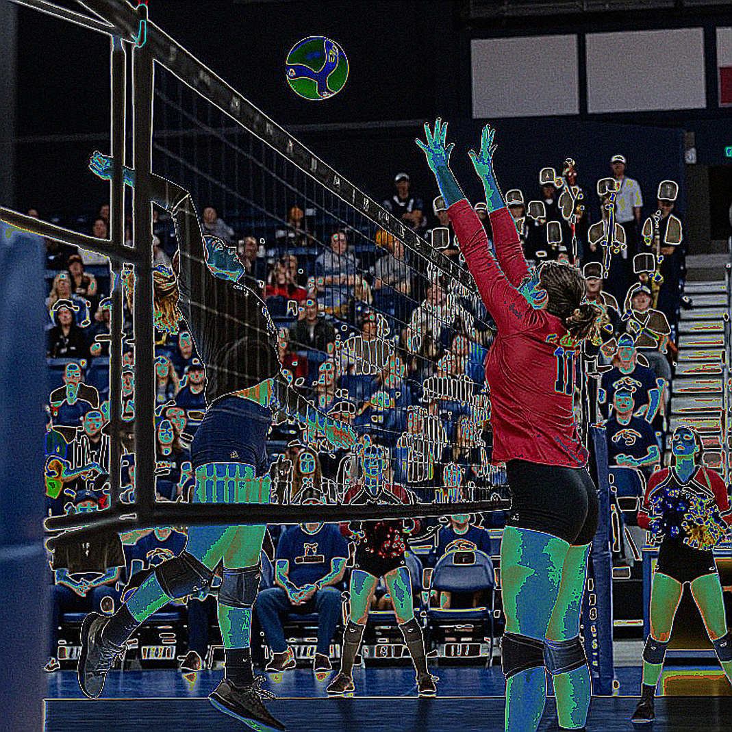Volleyball Data and the Empty File: The Line Between 'No News' and 'No Data